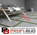 REALSTONE CARDOSO gr.2cm płyta gresowa 50x100cm