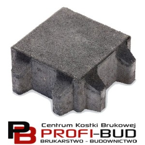 EQOL RETENCJA+ gr.8 ekologiczna kostka brukowa