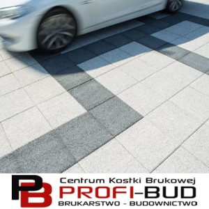 LA LINIA 40x40cm płyta tarasowa gr.3,8cm płukana 