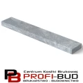 CUBO GIGA E6 100x20x6,5cm daszek Drewbet