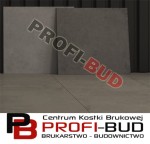 CENTRO gr.2cm płyta gresowa 60x60cm downtown