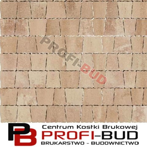 FANTAZJA gr.6cm kostka brukowa - powierzchnia melanż